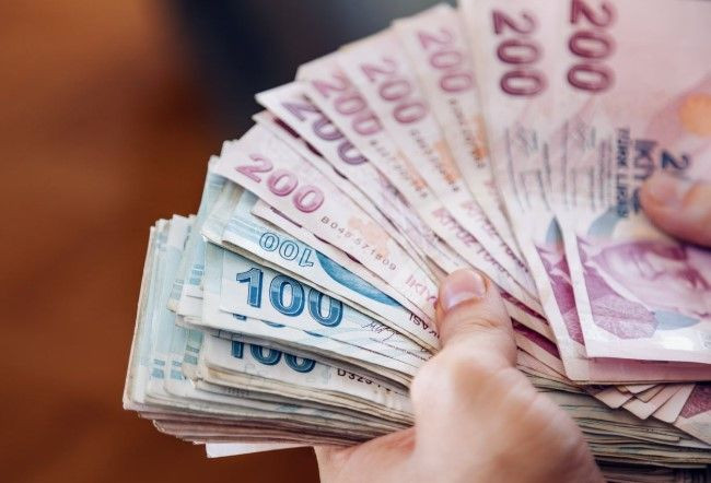 Vatandaşlık maaşın hangisi olacak? 3 formül ortaya çıktı - Resim: 9