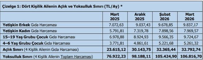 Mart 2026 açlık ve yoksulluk sınırları açıklandı: Yoksulluk da açlık da sınırları yıktı - Resim: 9