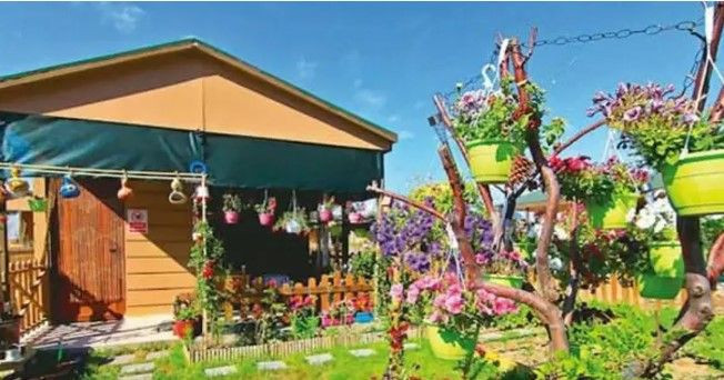 Hobi bahçesi için yeni düzenlemeler yolda: Ayrıntılar ortaya çıktı - Resim: 1