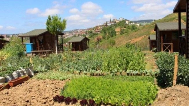 Hobi bahçeleri yeniden Meclis gündeminde: Verilecek cezalar ortaya çıktı - Resim: 3