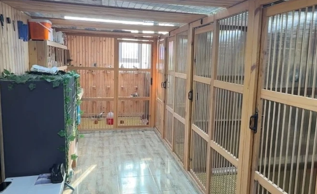 Tutkusunun peşinden koştu servet sahibi oldu: Şimdi paraya para demiyor - Resim: 4
