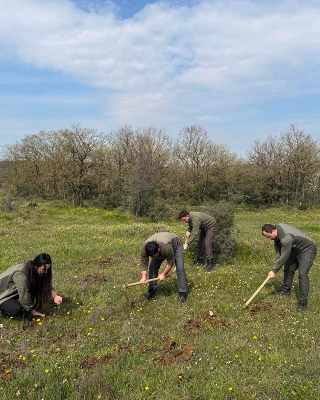 Kocaeli’de izinsiz salep orkidesi toplayan kişiye rekor ceza - Resim : 1