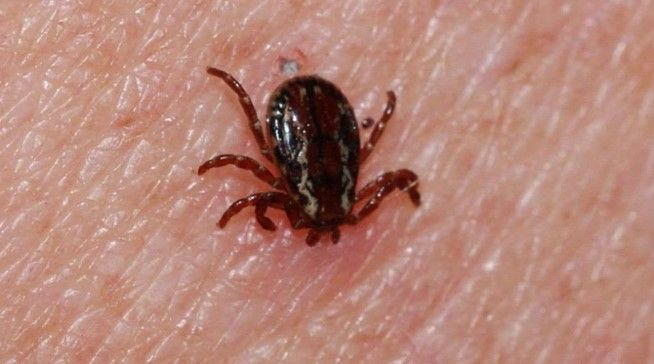 Bir kenti korkutan olay: 5 kişi aynı nedenden hayatını kaybetti - Resim: 5