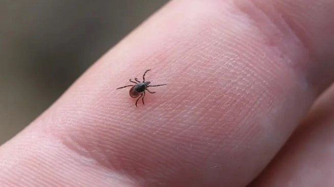 Bir kenti korkutan olay: 5 kişi aynı nedenden hayatını kaybetti - Resim: 6