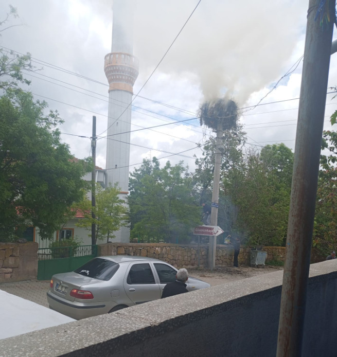 Canı pahasına yavrularını bırakmadı: Yangının ortasından insanlığa ders - Resim : 2
