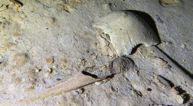 Su altında gizlenen tarih: Sekiz bin yıllık insan kalıntıları bulundu - Resim : 2