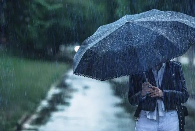 Meteoroloji’den 14 ile sarı kodlu uyarı: İstanbul’da gök gürültülü sağanak - Resim: 14