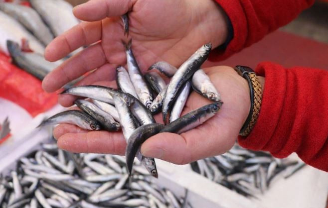 Kalbi koruyor, beyni güçlendiriyor: Sofranın en ucuzu, sağlığın en güçlüsü - Resim: 8