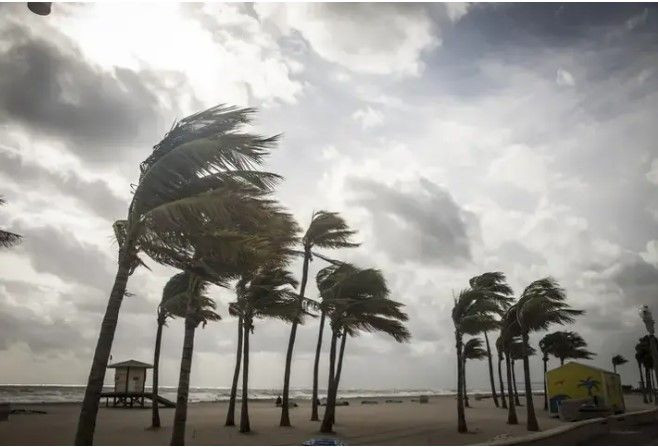 Meteoroloji’den 14 ile sarı kodlu uyarı: İstanbul’da gök gürültülü sağanak - Resim: 8