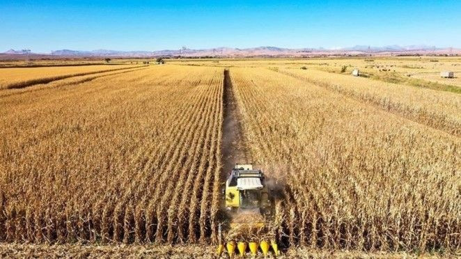 Arsa ve arazisi olanlar dikkat: Yeni düzenleme ne getiriyor? - Resim: 4