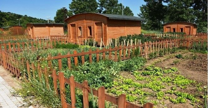 Hobi bahçeleri düzenlemesi değişiyor: Üretene müjde, ranta yıkım - Resim: 4