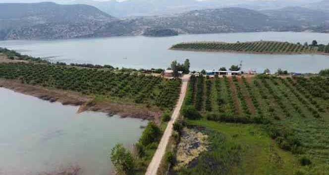Kilosu 70 TL'den leblebi gibi satıyor: "Bu lezzet bulunmaz" - Resim: 2