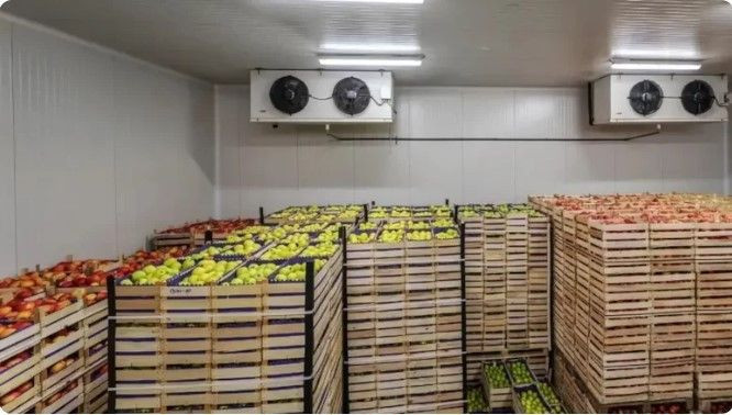 Gıda devi iflas etti: 67 yıldır zirvedeydi - Resim: 1