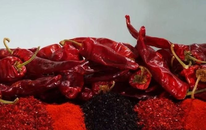 Kadınlar ayda 33 bin, erkekler 60 bin lira kazanıyor: Ellerini yüzlerine süremiyorlar - Resim: 7
