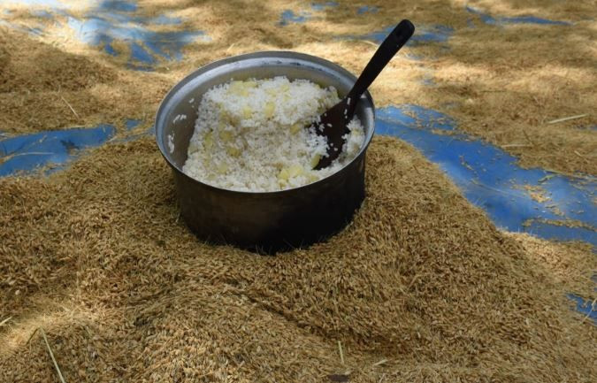 Yüzyıllık değirmende öğütülüyor: Şeker hastaları kapış kapış alıyor : Türkiye’nin yeni gözdesi - Resim: 6