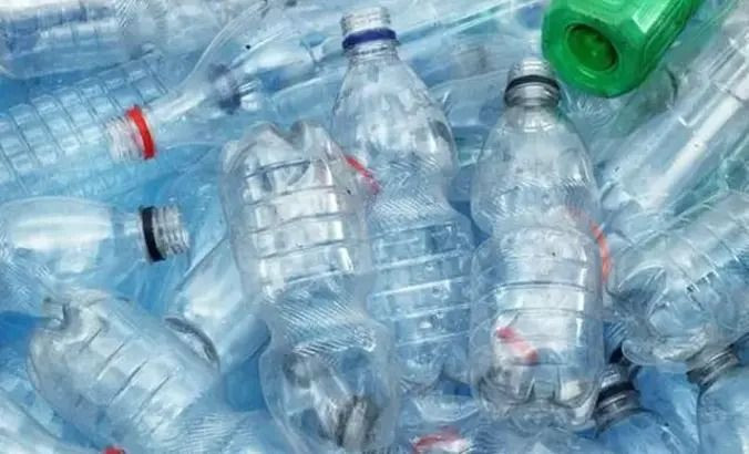Tanesi 3 liradan topladı, Toplam 1.5 milyon lira kazanç elde etti: Ev peşinatını ödedi - Resim: 4
