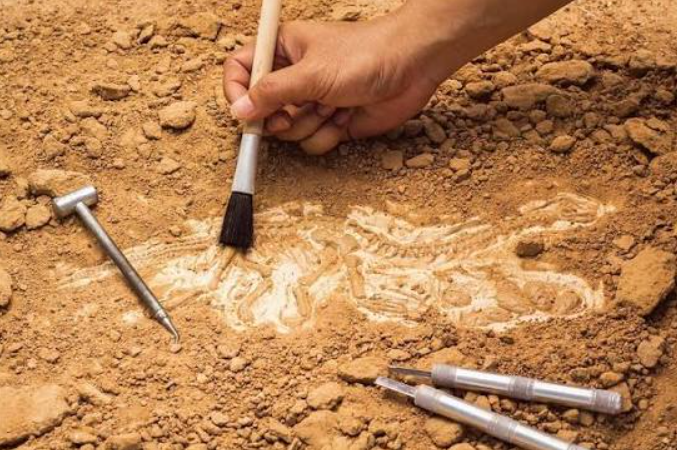 Yıllarca üzerinde pirinç yetiştirilmiş: Topraktan altın hazine fışkırdı - Resim: 5