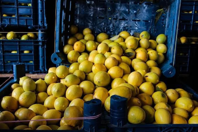 Türkiye'deki market limonlarında birden fazla pestisit çıktı - Resim: 9