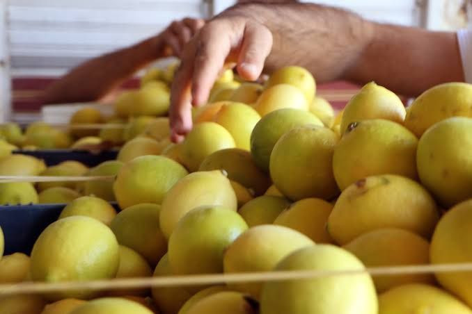 Türkiye'deki market limonlarında birden fazla pestisit çıktı - Resim: 10
