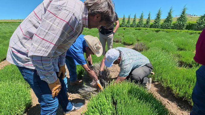 Üreticiyi şaşkına çeviren tablo: 5 yıllık stok ellerinde kaldı - Resim: 11