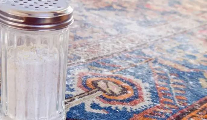 Rutubet ve kötü kokuya karşı doğal çözüm: Bir tutam serpenler sonuca inanamıyor - Resim: 7