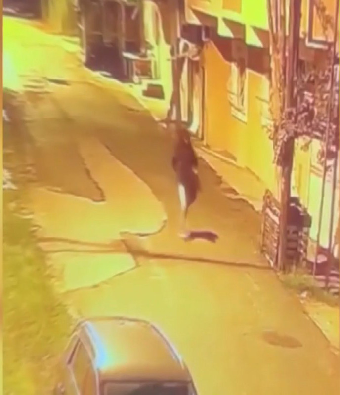 Pendik’te haraç vermeyen iş insanın beklerken kuryeyi vurdular - Resim : 3