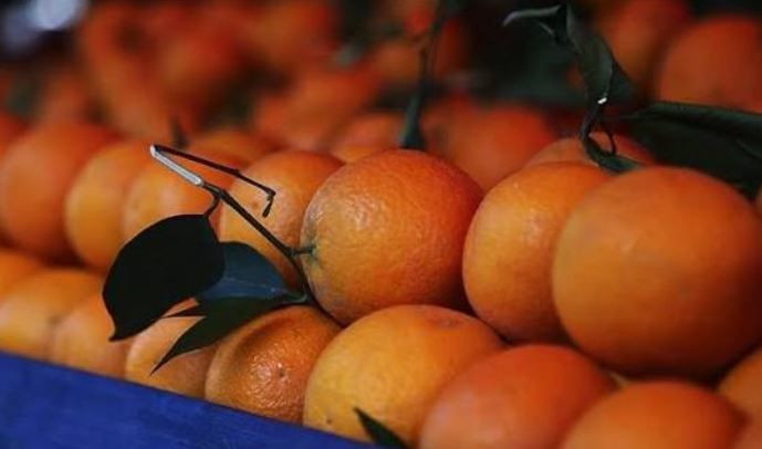 Kalbinizi koruyan 4 doğal süper meyve açıklandı: Pahalı ilaçlara gerek yok - Resim: 6