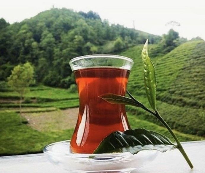 Çay sıcak suyla mı demlenir soğukla mı: Karadenizlilerin asla paylaşmadığı tavşan kanı sırrı açıklandı - Resim: 3