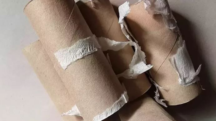 Çöpe deyip atıyorduk: Tuvalet kağıdı rulolarının bahçedeki gizli gücü şaşırttı - Resim: 1