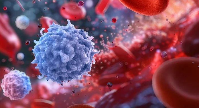 Lider mi, özgür ruh mu? Kan grubun karakterini açıklıyor - Resim: 10