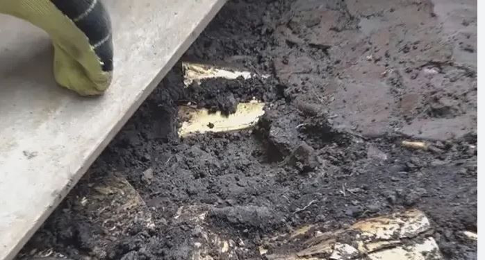 Kayıp uygarlığın altınlarla dolu mezarı bulundu: Yazılı tarihi yoktu - Resim: 2