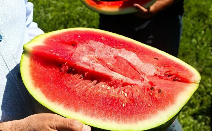 Yaz sofralarının vazgeçilmezi: Hem serinletiyor hem de şifa sunuyor - Resim: 4