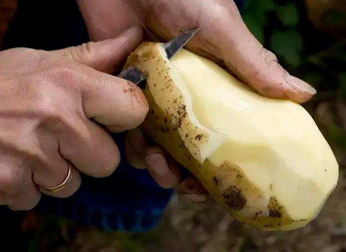 Patatesin bozulmasını engelleyen mucize yöntem: Sadece 1 tane koyun - Resim: 2