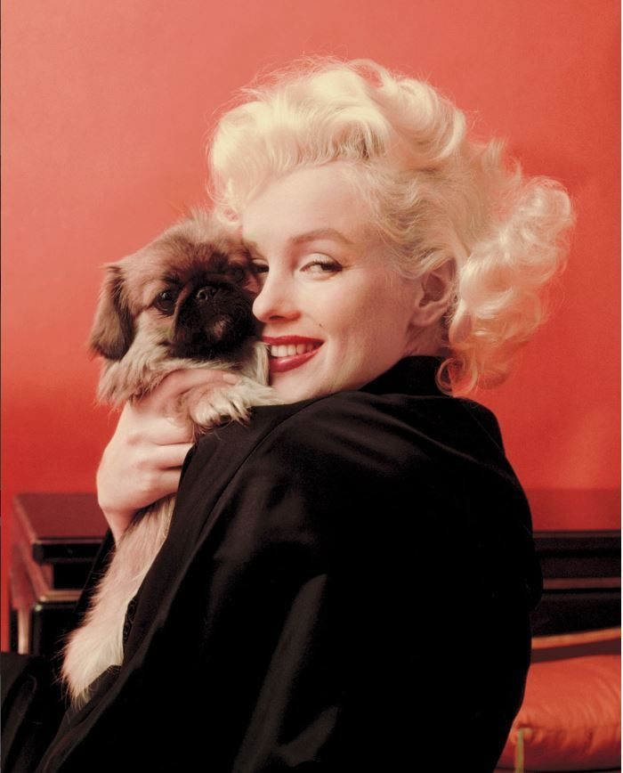 Hollywood ikonu Marilyn Monroe’nun özel arşivi gün yüzüne çıkıyor: Hiç görmediğiniz eşyalar sergide - Resim: 2