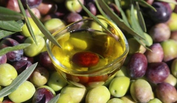 Türk zeytinyağı markası yurt dışına açılıyor: 3 kat büyüme için hangi ülkeler hedefte? - Resim: 12