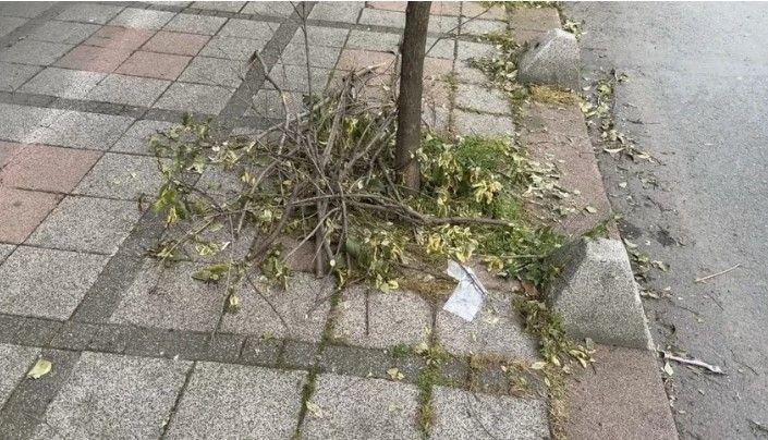 İstanbul'da şüphe uyandıran olay: Kadın doktor, avukat sevgilisinin evinin terasından düştü - Resim: 3