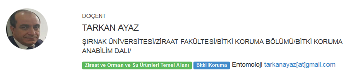 Şırnak Üniversitesi rektörünün skandalları kanıtlandı: İnkar etmişti - Resim : 6