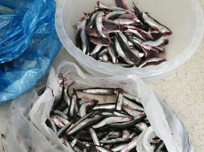 Kalbi koruyor, beyni güçlendiriyor: Sofranın en ucuzu, sağlığın en güçlüsü - Resim: 6