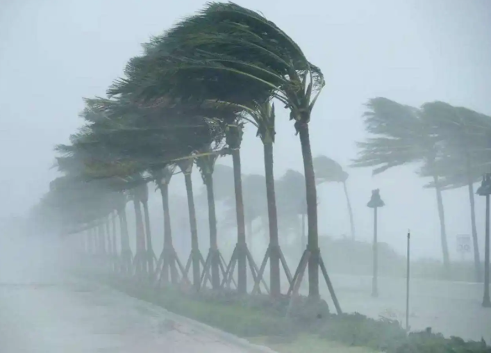 Meteoroloji il il uyardı: Ege'de 6 ile sarı kod, 80km hızda rüzgar - Resim: 8