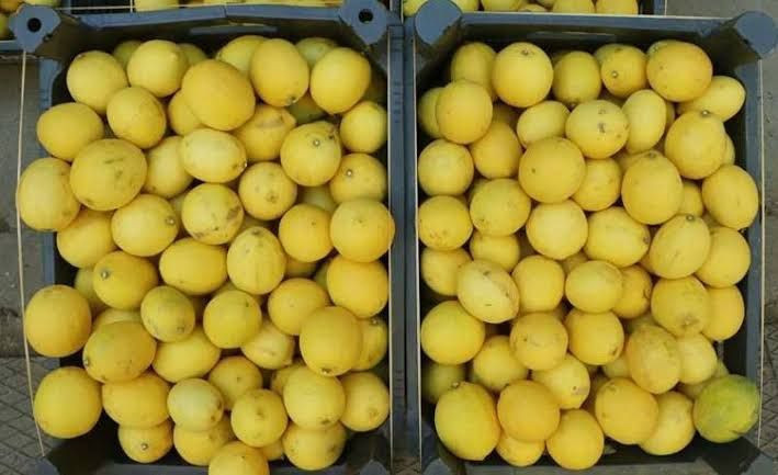 Türkiye'deki market limonlarında birden fazla pestisit çıktı - Resim: 14