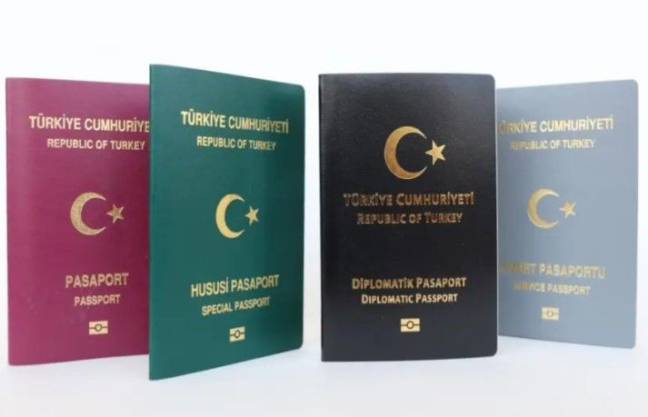 Ümit Özdağ'dan ücretsiz pasaport vaadi: Şartları tek tek saydı - Resim: 4