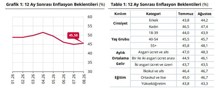 Merkez Bankası kritik veriyi açıkladı: 12 ay sonra enflasyon ne olacak? - Resim : 3