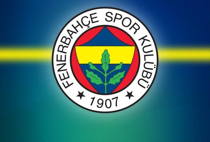Fenerbahçe Başkanı kim olacak? Anket sonuçları ortaya çıktı... Aziz Yıldırım mı, Hakan Safi mi? - Resim: 5
