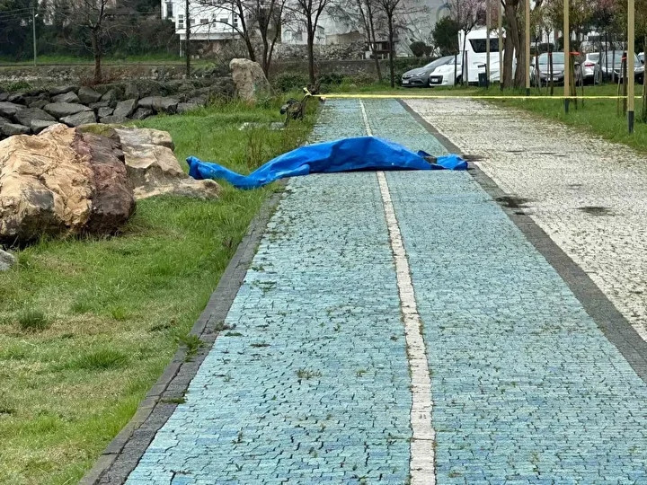 Fatsa sahilinde gizemli hareketlilik: 2 metrelik cihaz - Resim : 1