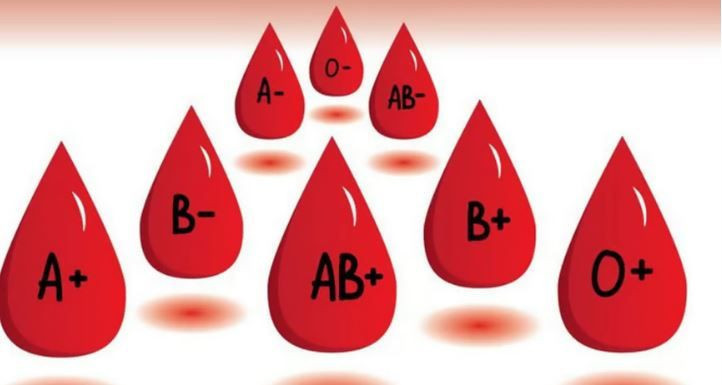 Lider mi, özgür ruh mu? Kan grubun karakterini açıklıyor - Resim: 7