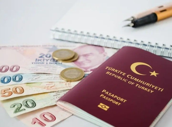 Ümit Özdağ'dan ücretsiz pasaport vaadi: Şartları tek tek saydı - Resim: 6