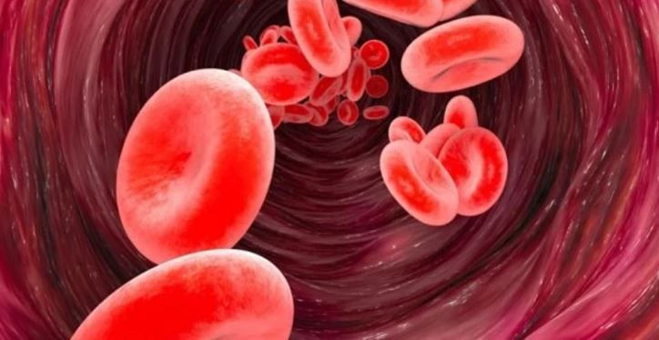 Lider mi, özgür ruh mu? Kan grubun karakterini açıklıyor - Resim: 8