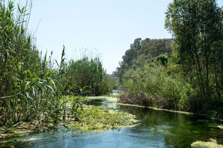 Avrupalılar oraya akın ediyor: Türkiye'nin gizli cenneti Venedik'i bile geride bıraktı - Resim: 6