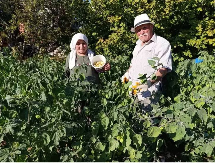 Şehirden köyüne dönüp altın çilek ekti, bir yılda evini ve arabasını aldı - Resim: 7