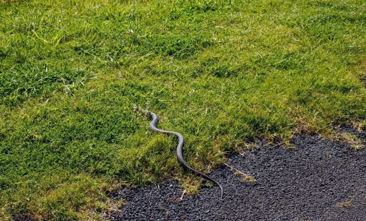 Dünyanın en tehlikeli kara parçası… Ayak basan son nefesini veriyor - Resim: 7